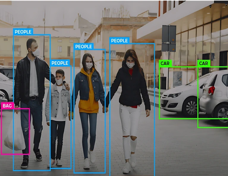 Image Classification Services