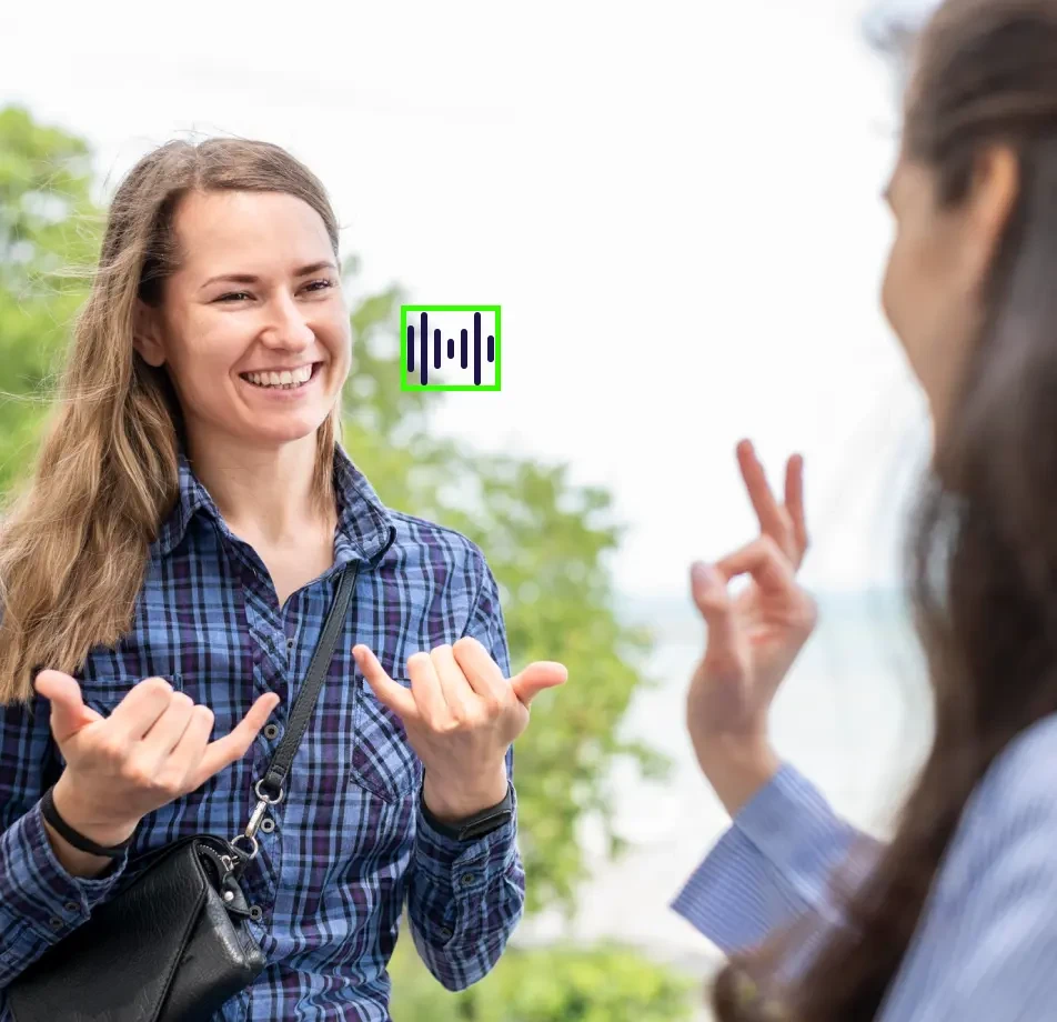 Speech Emotion Recognition for Customer Service