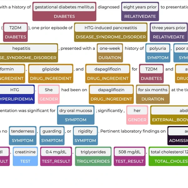 Case Study Image 2