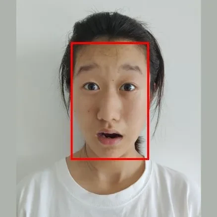 Extended Cohn-Kanade Dataset