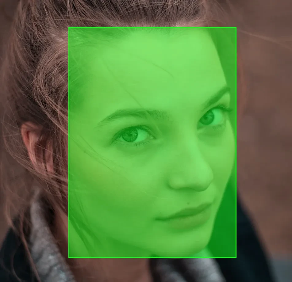 Face Parsing Dataset