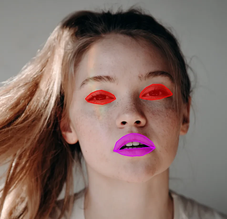 Face Parsing Dataset