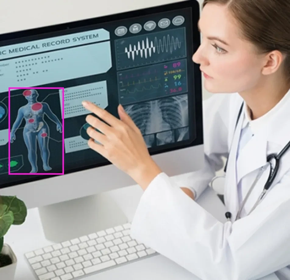 Data Labeling for Healthcare Diagnosis