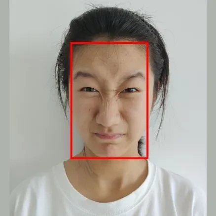 Extended Cohn-Kanade Dataset