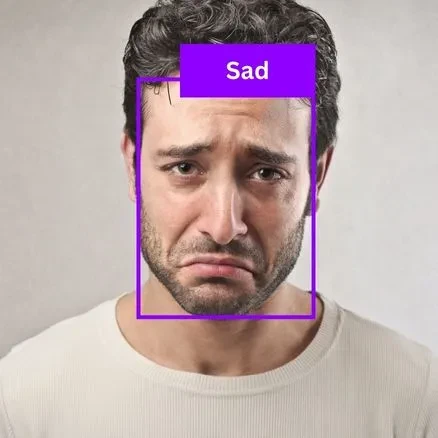 Facial Expression Recognition Dataset