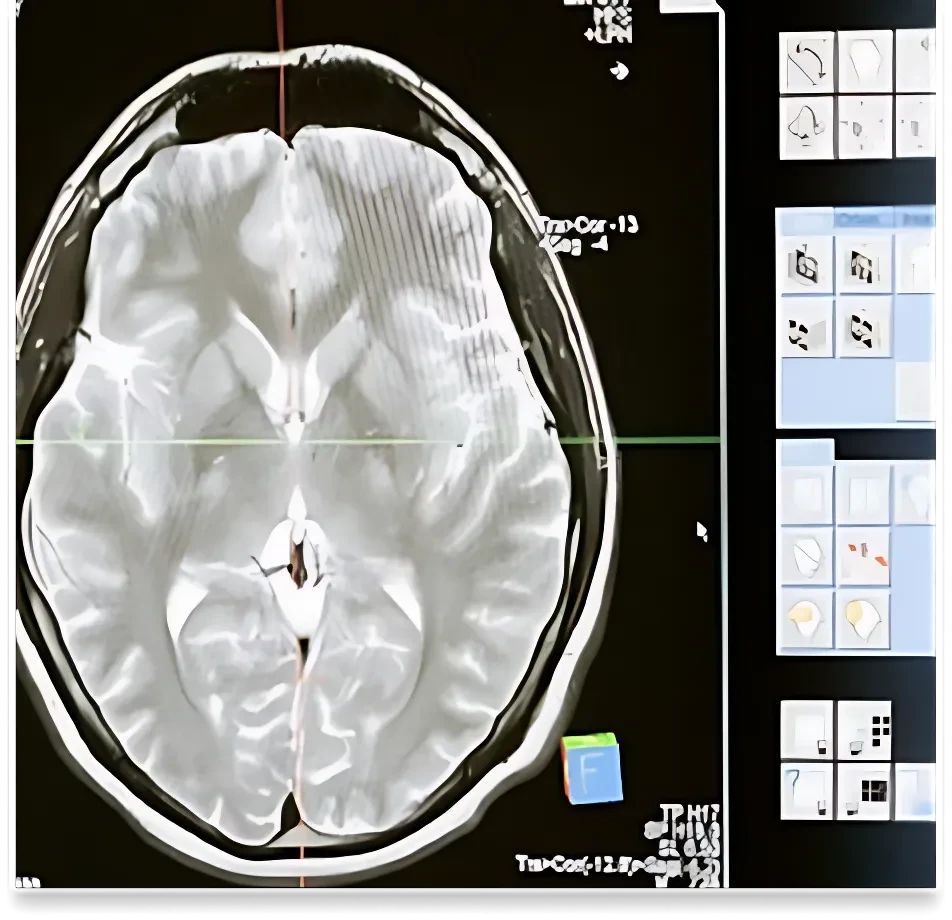 Case Study Image 1