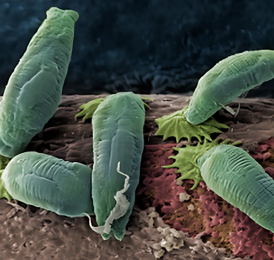 Case Study Image 2