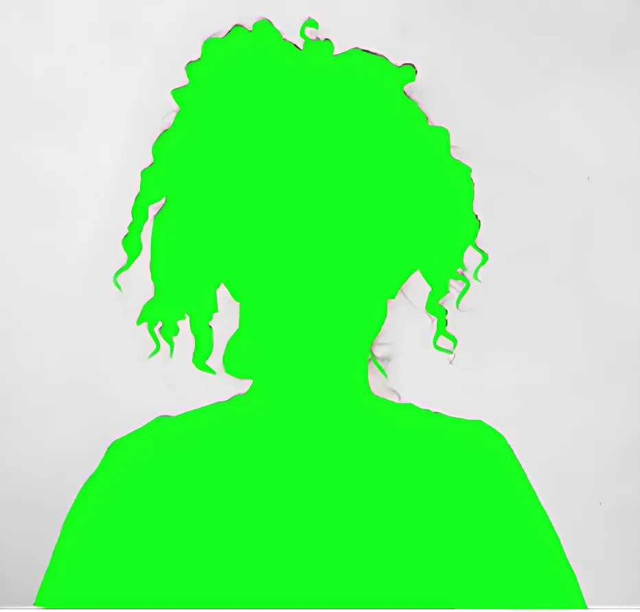 Single-person Portrait Matting Dataset
