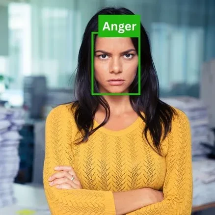 Facial Expression Recognition Dataset