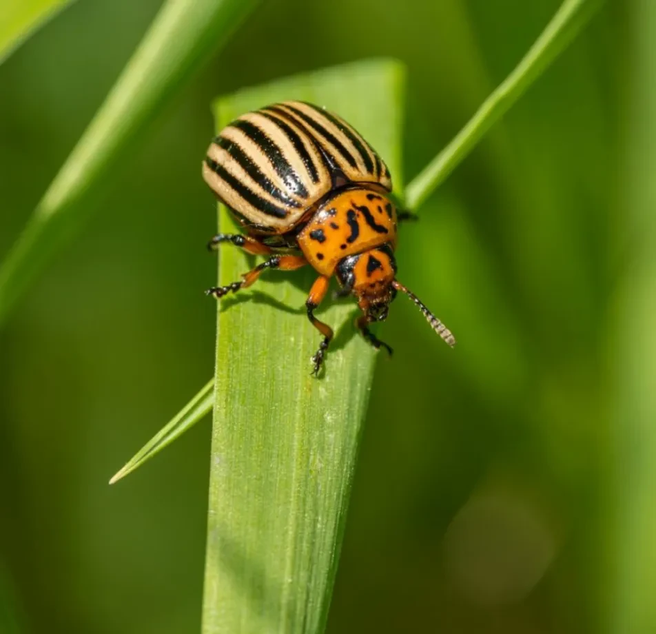 Case Study Image 1