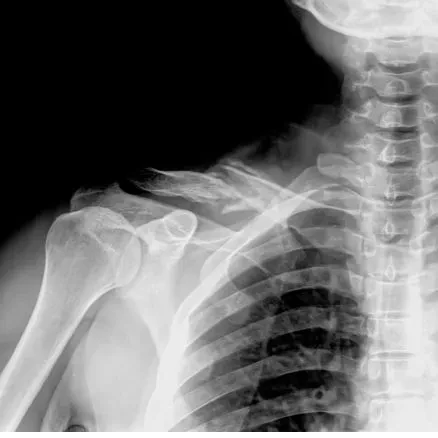 Case Study Image 1