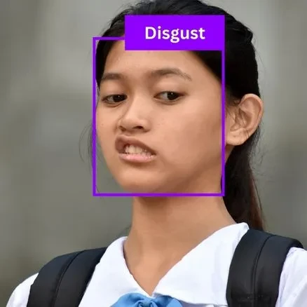 Facial Expression Recognition Dataset