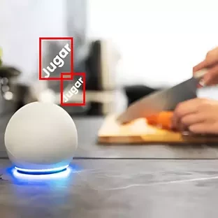 Voice Assistant Development for Smart Homes