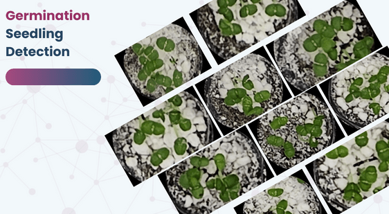 Germination Seedling Detection