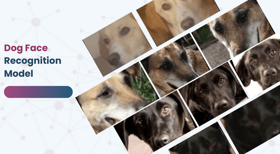 Dog Face Recognition Model