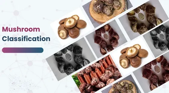 Mushroom Classification