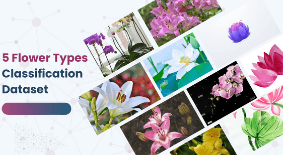 5 Flower Types Classification Dataset