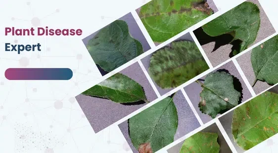 Plant Disease Expert