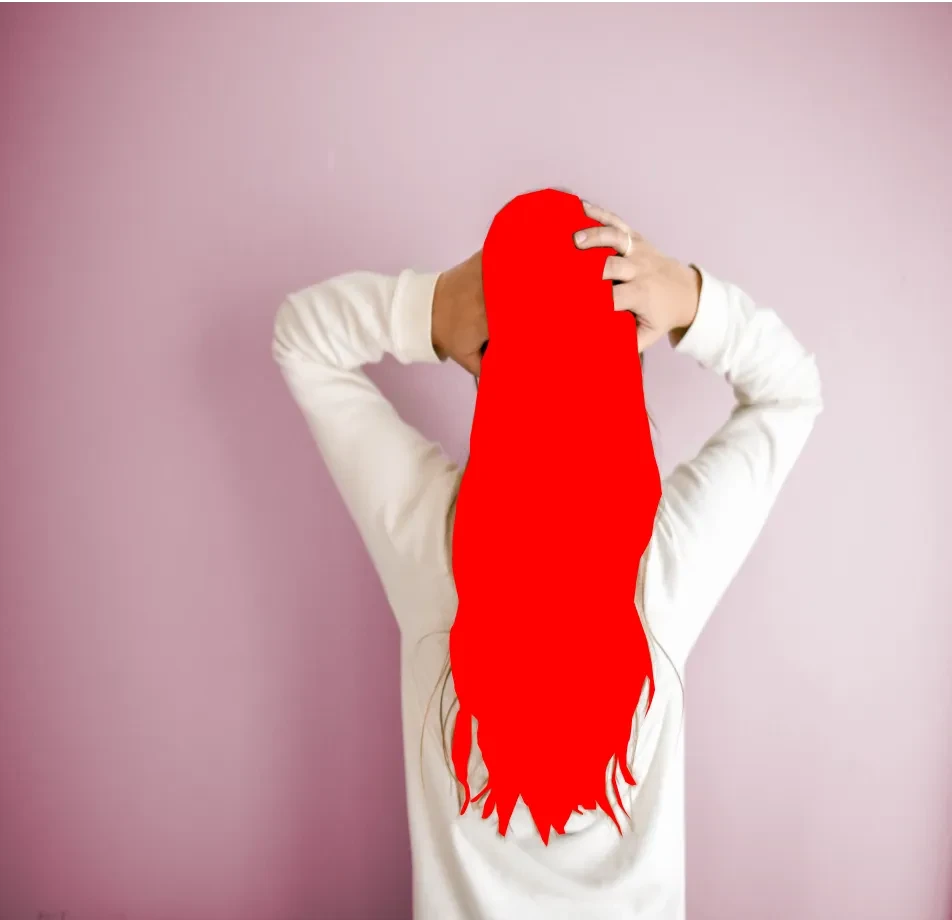 Hair Semantic Segmentation Dataset