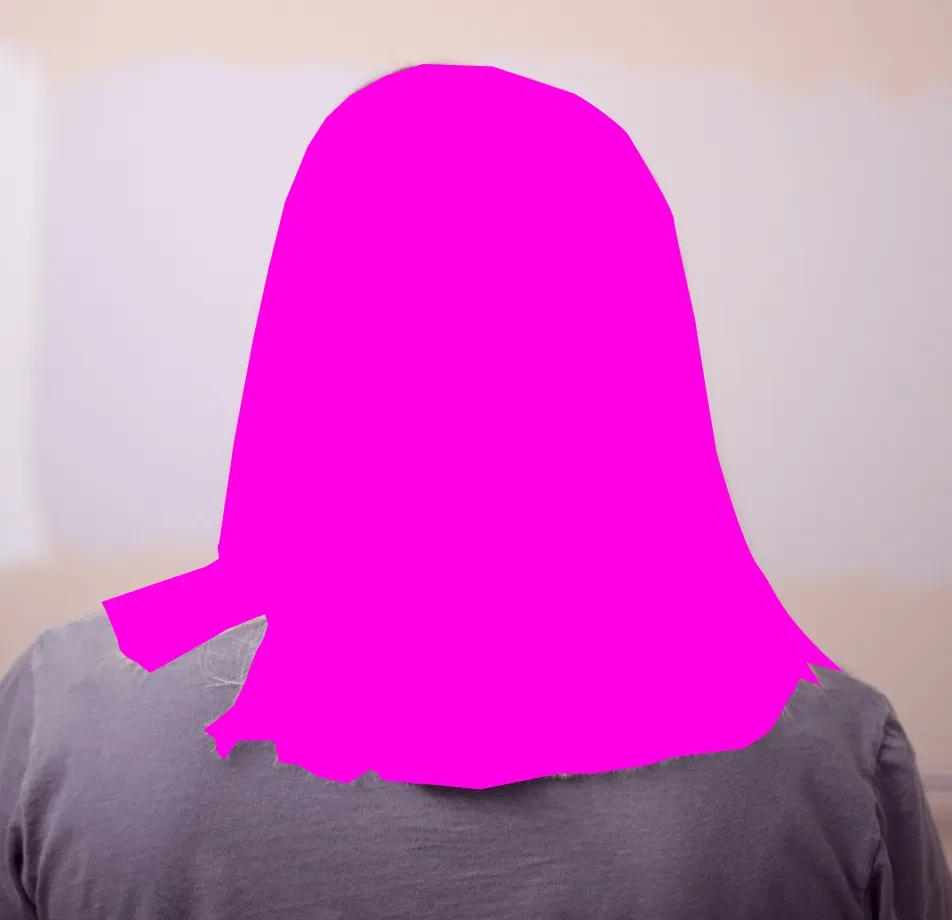 Hair Semantic Segmentation Dataset