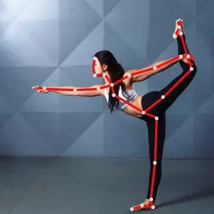 Human Body Motion Dataset