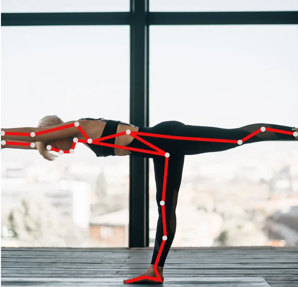 Human Body Motion Dataset