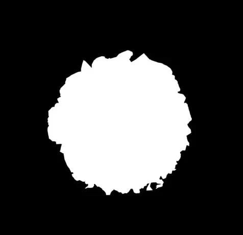 Food Contour Matting Dataset