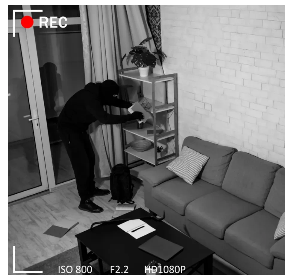 Human Videos Data Collection