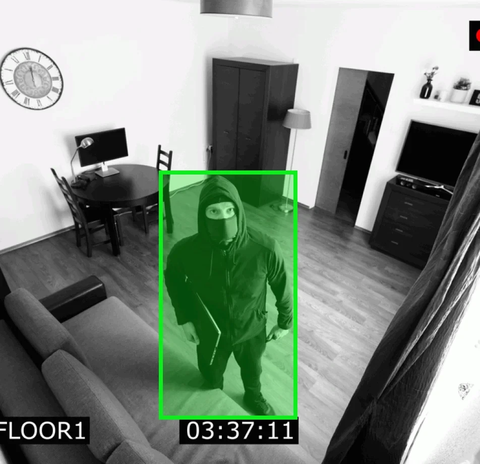 Human Videos Data Collection