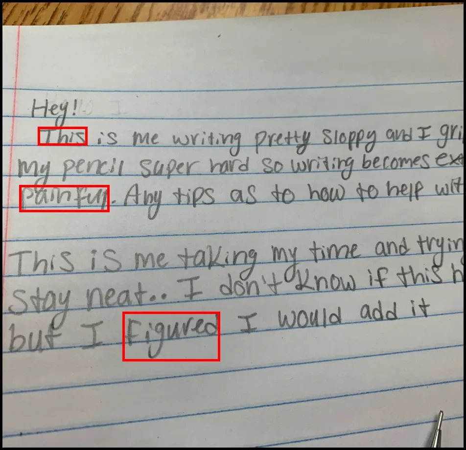 Case Study Image 2