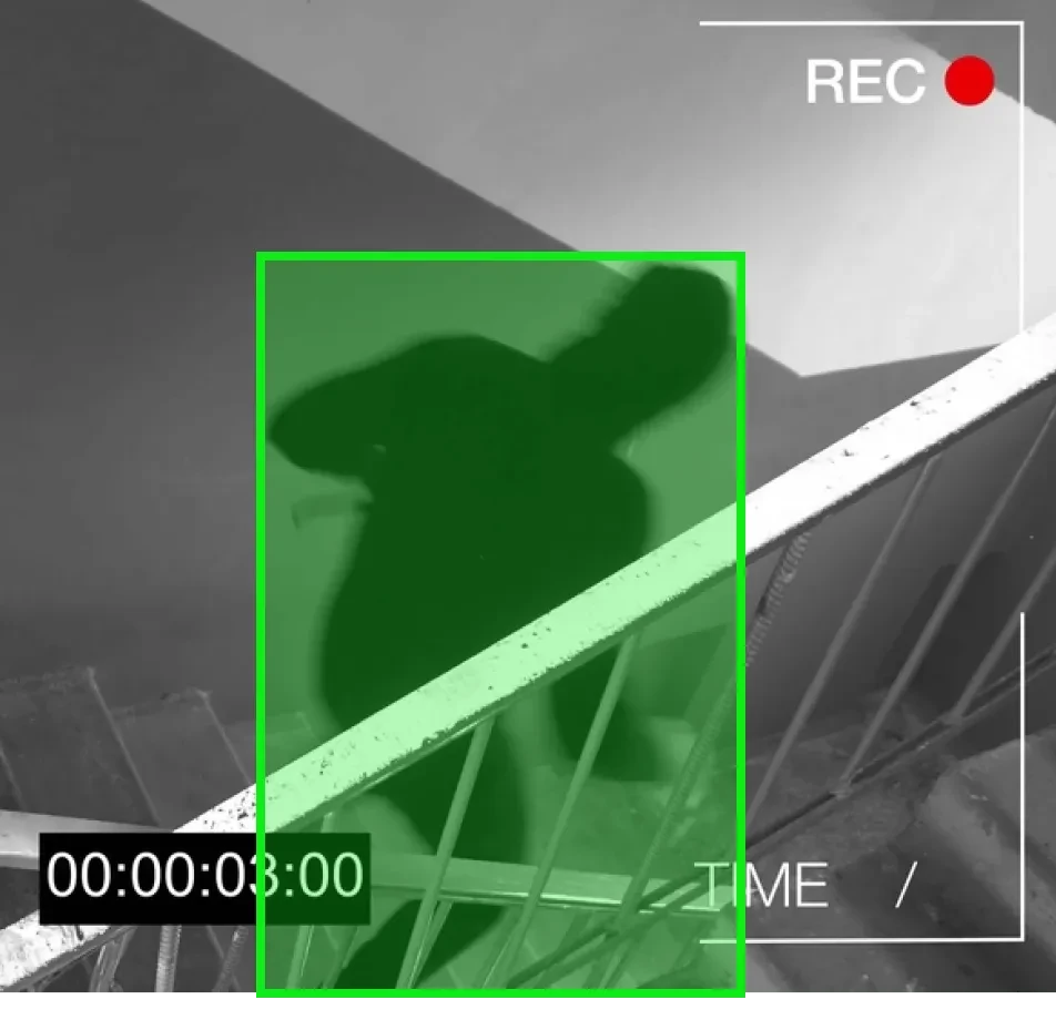 Human Videos Data Collection
