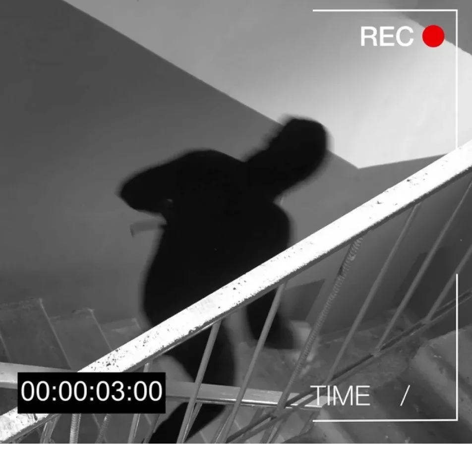 Human Videos Data Collection