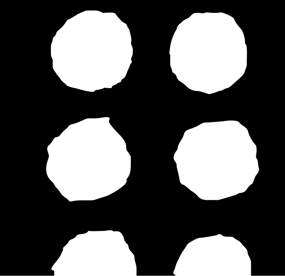 Multiple Objects Matting Dataset