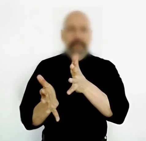 Speech-to-Sign Language Translation