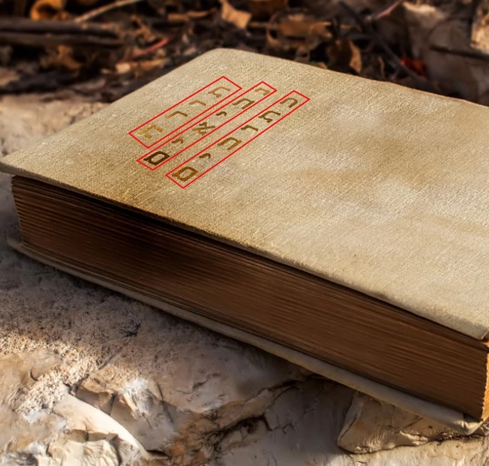 Hebrew Text Files Dataset