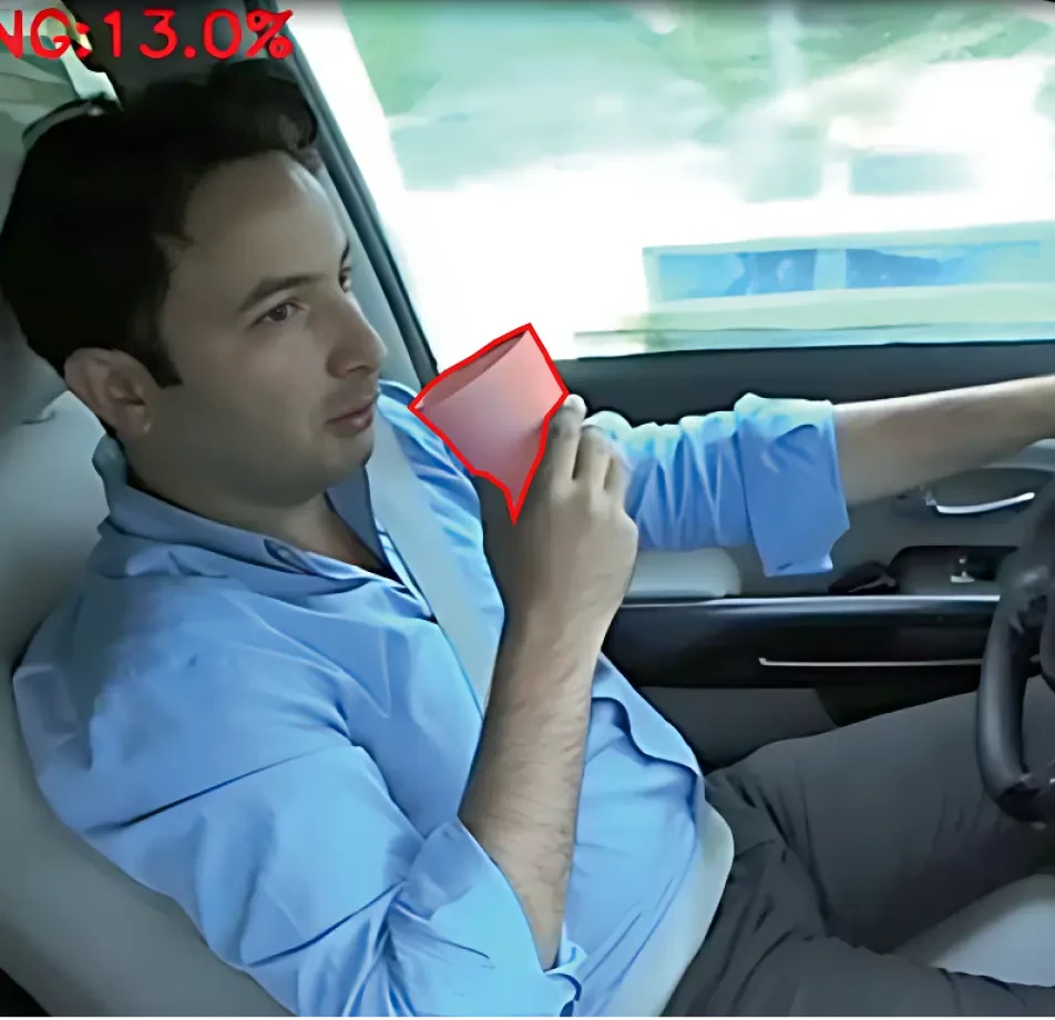 Vehicle Driving Behaviors Video Dataset