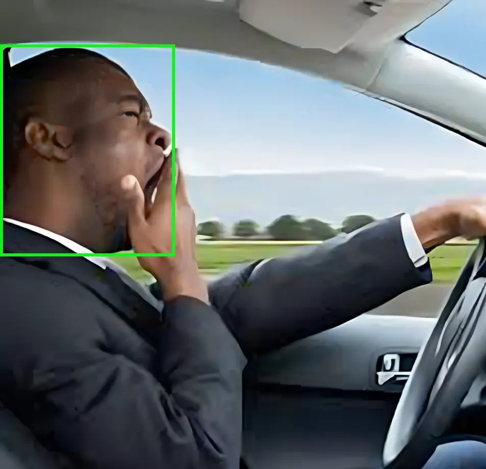 Vehicle Driving Behaviors Video Dataset