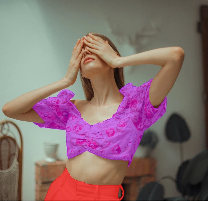 Clothes Segmentation Dataset