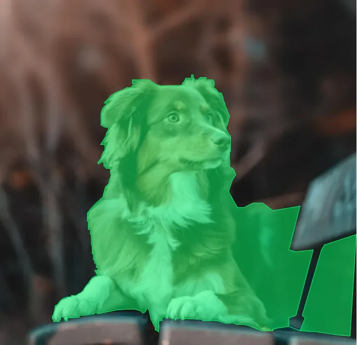 Cat & Dog Segmentation Dataset