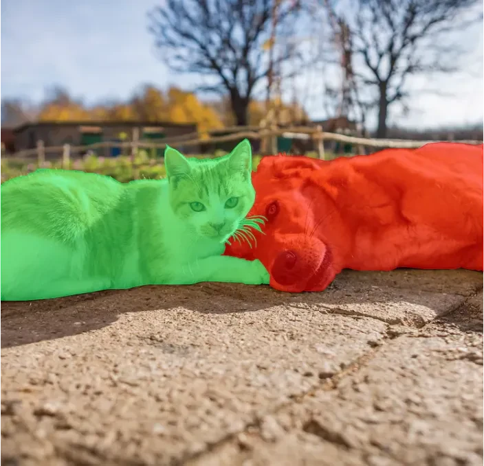 Cat & Dog Segmentation Dataset