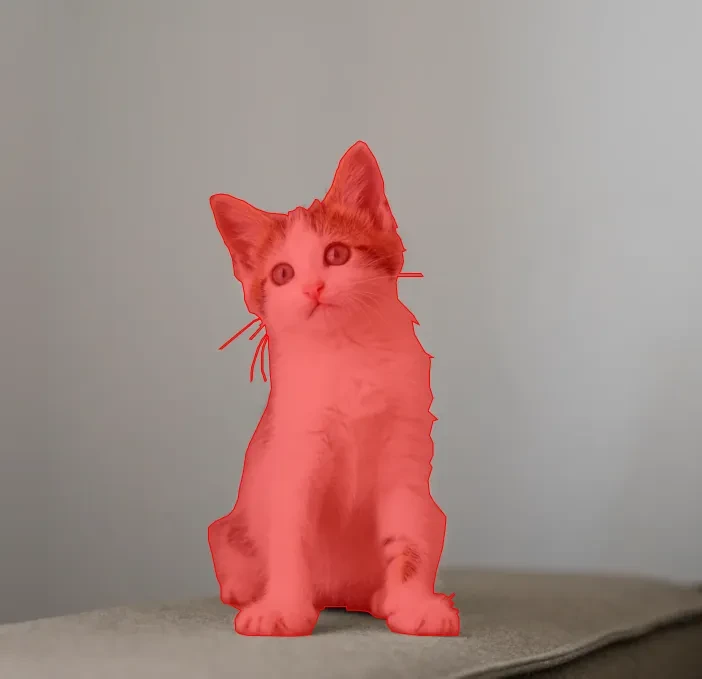 Cat & Dog Segmentation Dataset
