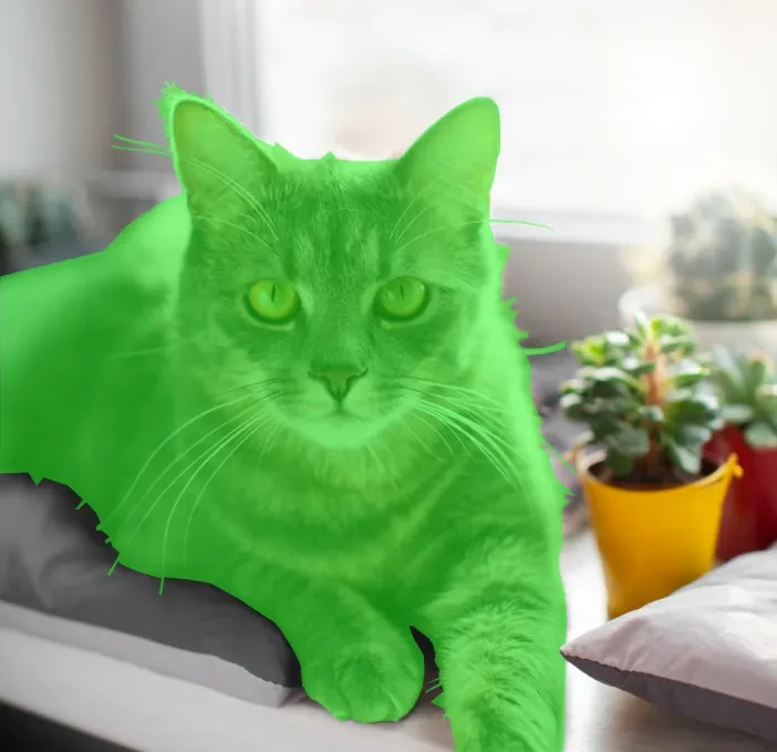 Cat & Dog Segmentation Dataset