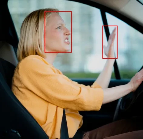 Driver Behaviour Data Collection