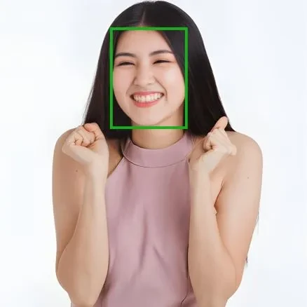 Japanese Female Facial Expression Dataset