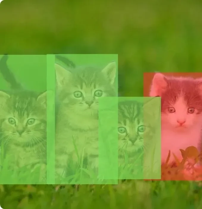 Pet Videos Dataset