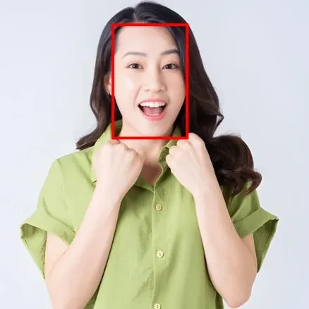 Japanese Female Facial Expression Dataset