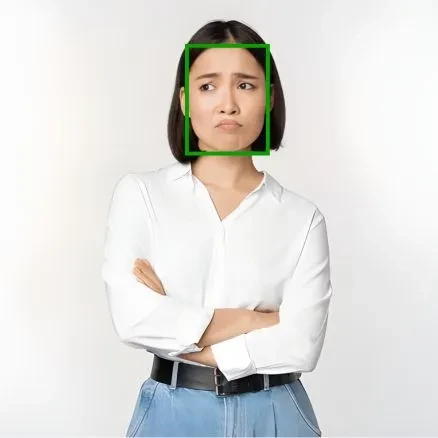 Japanese Female Facial Expression Dataset