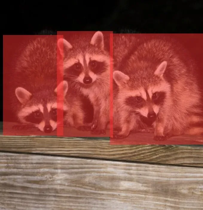 Pet Videos Dataset