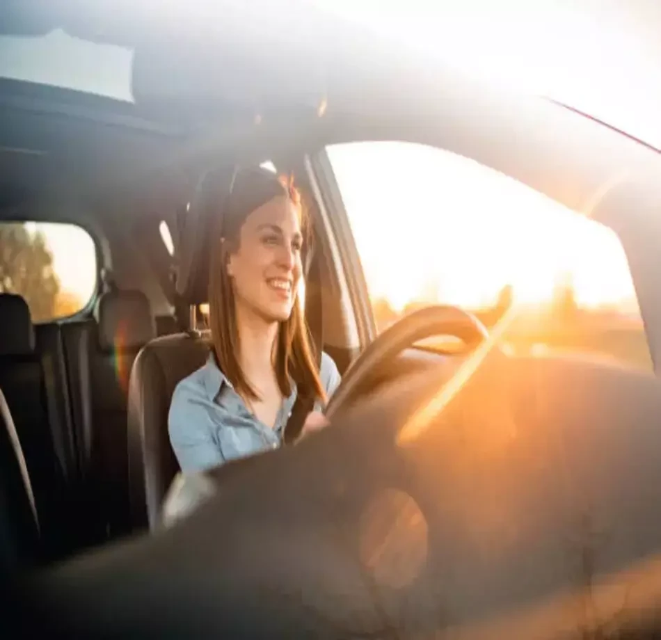 Autonomous Vehicle Driving Dataset