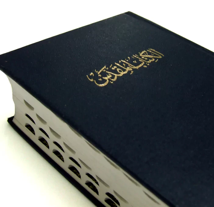 Arabic Text Files Dataset